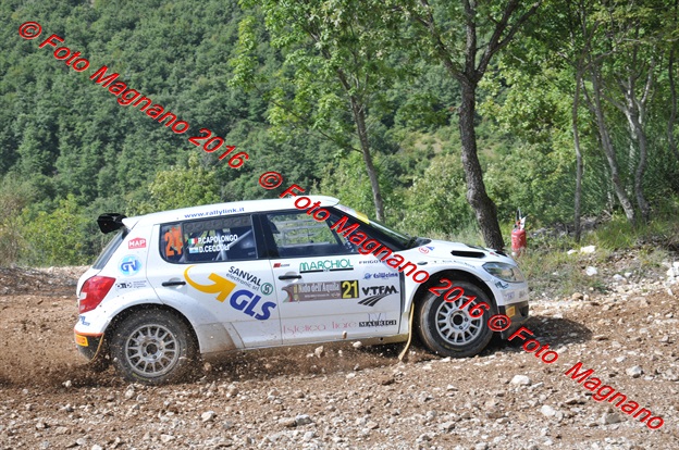 DSC_4934.JPG
